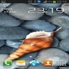 Outre le fond d'écran animé Le temps de montagne  pour Android téléchargez l'apk gratuit de screensaver Coquillage de mer.