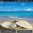 Outre le fond d'écran animé Ma plage HD pour Android téléchargez l'apk gratuit de screensaver Coquillages.