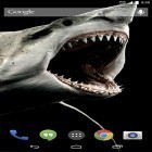 Outre le fond d'écran animé Moulinet  pour Android téléchargez l'apk gratuit de screensaver Requin 3D.