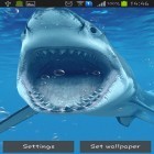 Outre le fond d'écran animé Crépuscule pour Android téléchargez l'apk gratuit de screensaver Requins .
