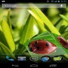 Outre le fond d'écran animé Cascade d'eau  pour Android téléchargez l'apk gratuit de screensaver Smart cube.