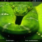 Outre le fond d'écran animé Planète 3D  pour Android téléchargez l'apk gratuit de screensaver Serpent .