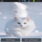 Outre le fond d'écran animé Bel hiver  pour Android téléchargez l'apk gratuit de screensaver Chats de neige.