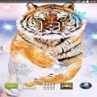 Outre le fond d'écran animé Roses  pour Android téléchargez l'apk gratuit de screensaver Tigre de neige .