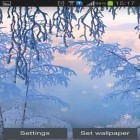 Outre le fond d'écran animé Nuage fongoïde pour Android téléchargez l'apk gratuit de screensaver Neige blanche en hiver.