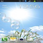 Outre le fond d'écran animé Roses  pour Android téléchargez l'apk gratuit de screensaver Perce-neige.