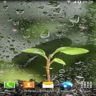 Outre le fond d'écran animé L`eau réelle  pour Android téléchargez l'apk gratuit de screensaver Printemps .