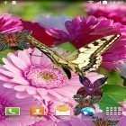 Outre le fond d'écran animé Amour sucré  pour Android téléchargez l'apk gratuit de screensaver Fleurs printanières 3D.
