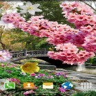 Outre le fond d'écran animé Chat HD pour Android téléchargez l'apk gratuit de screensaver Jardin de printemps.