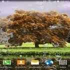 Outre le fond d'écran animé Cube fantastique: Flore pour Android téléchargez l'apk gratuit de screensaver Paysages de printemps .