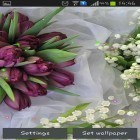 Outre le fond d'écran animé Fluide  pour Android téléchargez l'apk gratuit de screensaver Lis et tulipes de printemps.