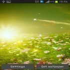 Outre le fond d'écran animé Adaptation de la couleur de caméléon  pour Android téléchargez l'apk gratuit de screensaver Prairie de printemps .