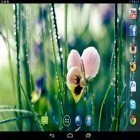 Outre le fond d'écran animé Orage   pour Android téléchargez l'apk gratuit de screensaver Pluie de printemps.