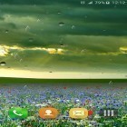 Outre le fond d'écran animé Goutte de pluie  pour Android téléchargez l'apk gratuit de screensaver Pluie de printemps .