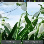 Outre le fond d'écran animé Style chromé   pour Android téléchargez l'apk gratuit de screensaver Perce-neige de printemps.