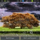 Outre le fond d'écran animé Paysages de printemps  pour Android téléchargez l'apk gratuit de screensaver Orage printanier.