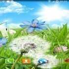Outre le fond d'écran animé L`oiseau qui ne sait pas voler  pour Android téléchargez l'apk gratuit de screensaver Fleurs d`été  .