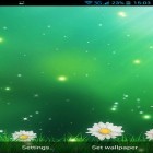 Outre le fond d'écran animé Tonnerre   pour Android téléchargez l'apk gratuit de screensaver Fleurs d'été .