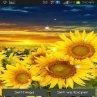 Outre le fond d'écran animé Drapeau irisé  pour Android téléchargez l'apk gratuit de screensaver Tournesol.