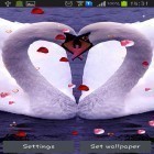 Outre le fond d'écran animé Lotus  pour Android téléchargez l'apk gratuit de screensaver Cygnes: Amour.