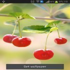 Outre le fond d'écran animé Pluie d'automne  pour Android téléchargez l'apk gratuit de screensaver Cerise douce .