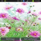Outre le fond d'écran animé Vol stellaire  pour Android téléchargez l'apk gratuit de screensaver Fleurs douces .
