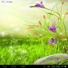 Outre le fond d'écran animé Luxe  pour Android téléchargez l'apk gratuit de screensaver Fleurs brillantes.
