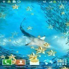 Outre le fond d'écran animé Winnie l'ourson et les abeilles  pour Android téléchargez l'apk gratuit de screensaver Sous l'eau.