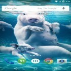 Outre le fond d'écran animé Auto et modèle pour Android téléchargez l'apk gratuit de screensaver Animaux sous l'eau.