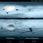 Outre le fond d'écran animé Sons des oiseaux et ringtones  pour Android téléchargez l'apk gratuit de screensaver Waterize.