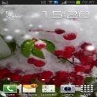 Outre le fond d'écran animé Rayons infinis  pour Android téléchargez l'apk gratuit de screensaver Baie d'hiver.