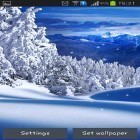 Outre le fond d'écran animé Le chaton sauvage  pour Android téléchargez l'apk gratuit de screensaver Nature d'hiver.