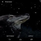 Outre le fond d'écran animé Courant spatial   pour Android téléchargez l'apk gratuit de screensaver Loup et lune.