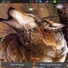 Outre le fond d'écran animé Océan  pour Android téléchargez l'apk gratuit de screensaver Loup.
