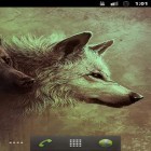 Outre le fond d'écran animé Les armoiries Pahonie  pour Android téléchargez l'apk gratuit de screensaver Les loups HD.