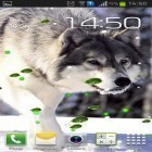 Outre le fond d'écran animé Éoliennes 3D pour Android téléchargez l'apk gratuit de screensaver Loups mystérieux .