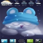 Outre le fond d'écran animé Ta ville 3D pour Android téléchargez l'apk gratuit de screensaver Le chaton Yang.