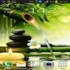 Outre le fond d'écran animé Pluie réelle  pour Android téléchargez l'apk gratuit de screensaver Jardin Zen.