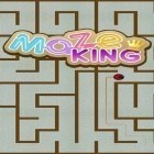 Avec le jeu Miracle city 2 pour Android téléchargez gratuitement Le roi du labyrinthe  sur le portable ou la tablette.