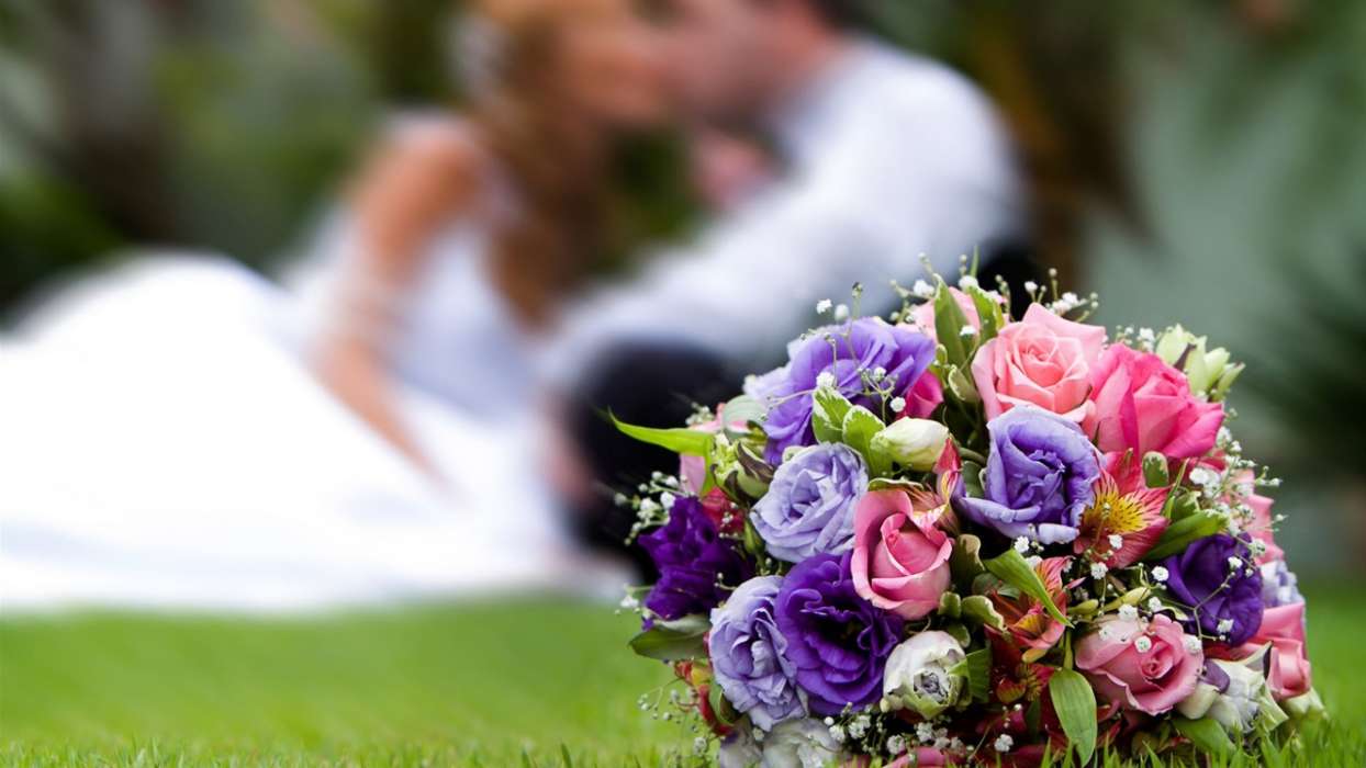 Bouquets,Fleurs,Paysage,Fêtes,Plantes,Mariage