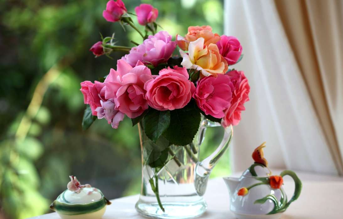 Bouquets,Fleurs,Plantes