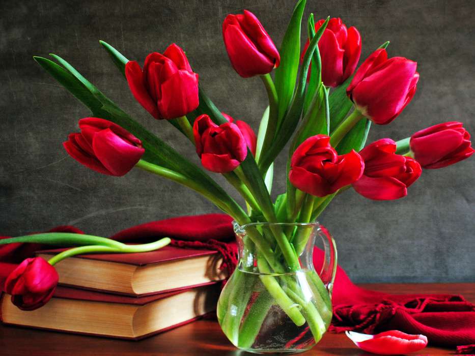 Bouquets,Fleurs,Plantes,Tulipes