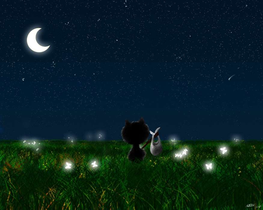 Paysage,Chats,Herbe,Nuit,Lune,Dessins
