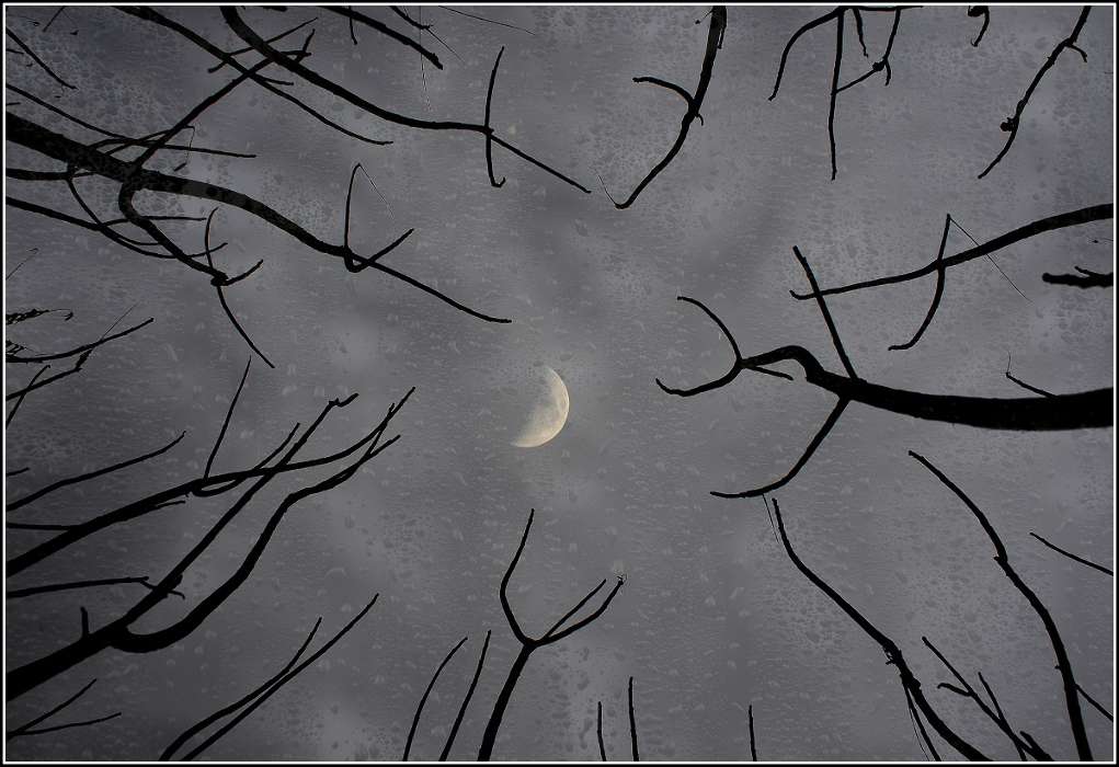 Lune,Paysage