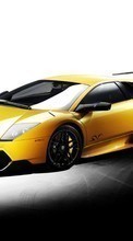 Télécharger une image Transports,Voitures,Lamborghini pour le portable gratuitement.