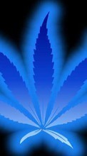 Télécharger une image Contexte,Marijuana,Le cannabis pour le portable gratuitement.