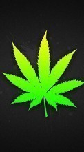 Plantes,Logos,Marijuana