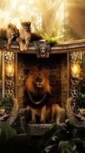 Télécharger une image Photo artistique,Lions,Animaux pour le portable gratuitement.