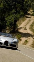 Télécharger une image Transports,Voitures,Routes,Bugatti pour le portable gratuitement.