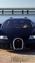 Télécharger une image 800x480 Transports,Voitures,Bugatti pour le portable gratuitement.